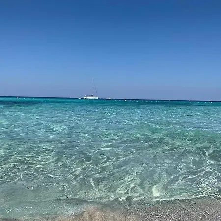 Calme Au Soleil En Linguizzetta